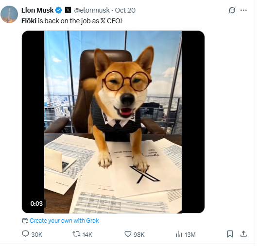 Flลki ๐ CEO