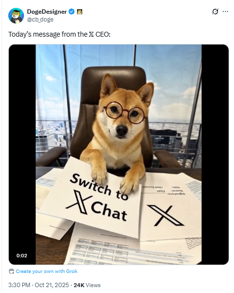 Flลki ๐ CEO